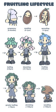 Fruitling lifecycle!